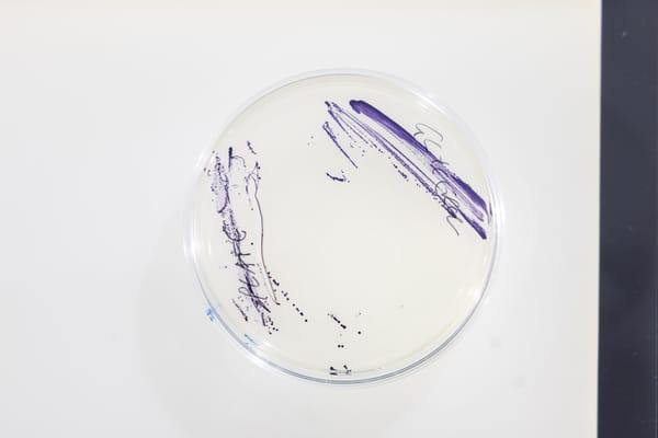 FoNS-Make-A-Difference 2025: about the six finalist teams